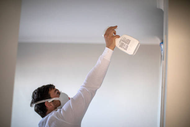 Best Professional Mold Removal  in Sartell, MN